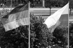 МИД Германии ответил на требования Польши о репарациях