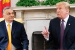 Дробницкий: Встреча Орбана с Трампом – это очень сильный ход