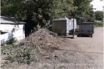 Славянск  стал  городом ворон и кукушек