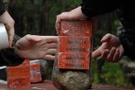 В Мариуполе предотвратили теракт у избирательного участка – военкор