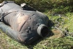 В Польше вандалы украли и обезглавили скульптуру маршала Рокоссовского