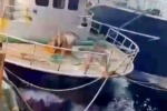 Рыбацкий катер подорвался на дрейфующей мине у побережья Турции в Черном море