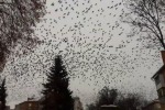 ЖИТЕЛИ КИЕВА УВИДЕЛИ В НЕБЕ "СТРАШНЫЙ ЗНАК"