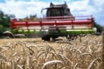 Генсек ООН призвал вернуть российское продовольствие на мировые рынки