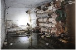 ОДНИМ – … , ДРУГИМ – РАЙСКАЯ ЖИЗНЬ.   ТАКОВА РЕАЛЬНОСТЬ МАРИУПОЛЯ