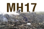 Голландия скрывает показания секретного свидетеля в деле MH17