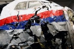 В Израиле объяснили, почему дело MH17 начало трещать по швам...