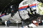 В ДНР готовы предоставить доступ к месту крушения рейса MH17