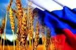 НА ЗАПАДЕ ИСПУГАЛИСЬ ЗАПРЕТА НА ЭКСПОРТ ЗЕРНА В РОССИИ