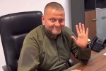 Депутат Безуглая решила раскритиковать «полевое» фото главкома ВСУ Залужного
