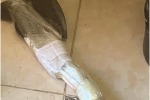 С фекалиями и топором на мариупольскую синагогу 