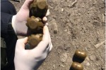 АРСЕНАЛЫ В ОГОРОДАХ МАРИУПОЛЬЦЕВ ИЛИ УДИВИТЕЛЬНОЕ РЯДОМ