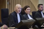 Суд Гааги заочно приговорил троих к пожизненному заключению по делу о крушении MH17