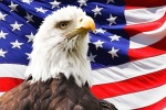 Западные СМИ обнаруживают, что США не так идеальны, как казались раньше