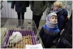 УРОКИ ДОБРОТЫ  И ОТВЕТСТВЕННОСТИ