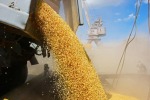 Зерновая сделка: 60 дней, которые ничего не решат