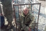 ДАЖЕ НЕ СИПАИ!