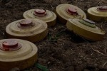 ВСУ усеяли сотнями мин пшеничные поля в Донбассе — НМ ЛНР